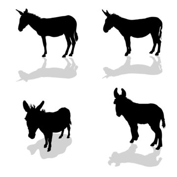 donkey four animal black silhouette