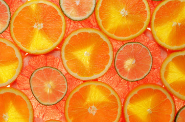lime, lemon, grapefruit and orange slices