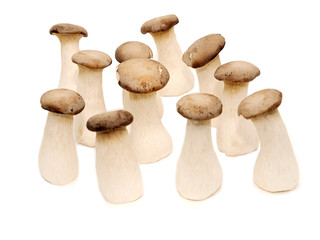 king trumpet mushrooms