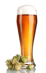beer in a glass and green hop isolated on white