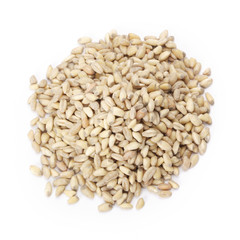 Wheat in bowl isolated on white