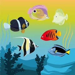 Fotobehang vector kleurrijke vissen in aquarium © hanaschwarz