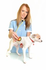 médecin vétérinaire avec chien isolé