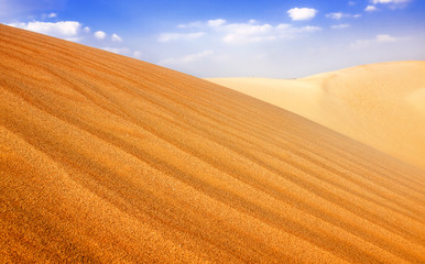 Fototapeta premium Sand Dunes Landscape