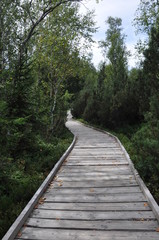 Wooden walkway