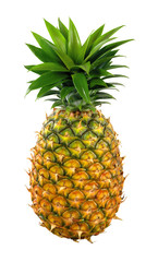 appetite pineapple