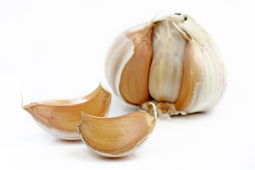 Garlic