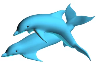 Afwasbaar Fotobehang Dolfijnen Dolfijn 02