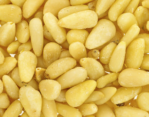 Close view pine nuts