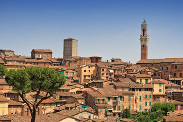 Panorama von Siena