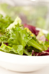 fresh salad