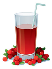 Glass of cranberry juice