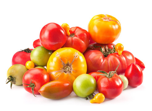 Tomato group