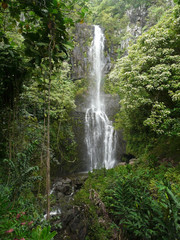 Hawaiian tropical waterfall
