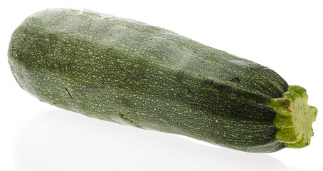 marrow