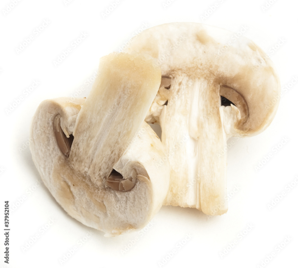 Canvas Prints mushroom slice