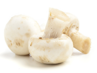 mushrooms