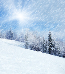 Beautiful winter landscape with snow covered trees