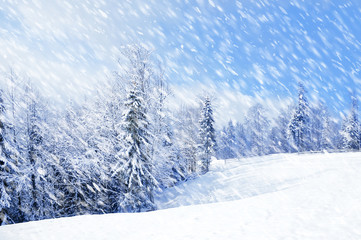Beautiful winter landscape with snow covered trees