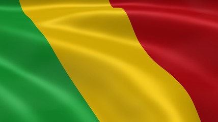 Malian flag in the wind