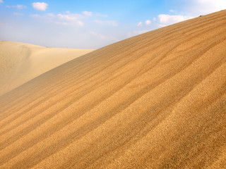 sand desert