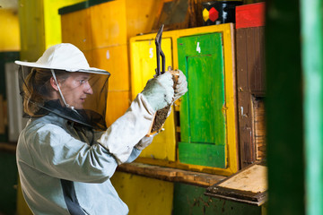 Beekeeper working in an apiary holding a frame of honeycomb