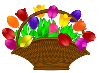 Basket of Colorful Tulips Flowers Illustration