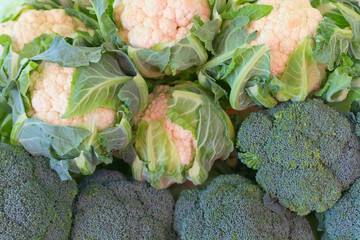 Broccoli and cauliflower ready for sale on the market