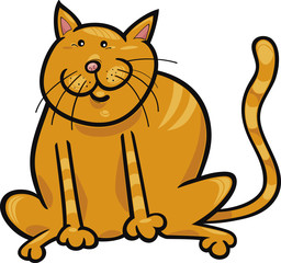 Yellow cat