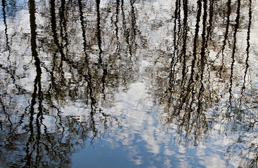 Reflection in a water.
