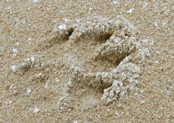Stamp on a sand.