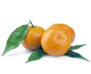 tangerines