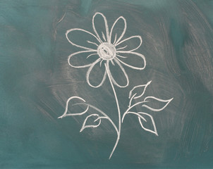 Blackboard with drawing flower closeup