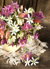Obraz na płótnie Canvas bouquet of spring flowers