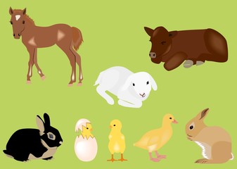 Easter spring baby animals