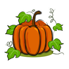 pumpkin with vines