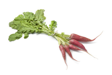 Fresh red radish