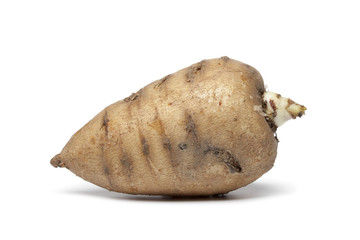 Whole single Turnip-rooted chervil