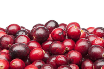 Bunch of fresh red cranberries