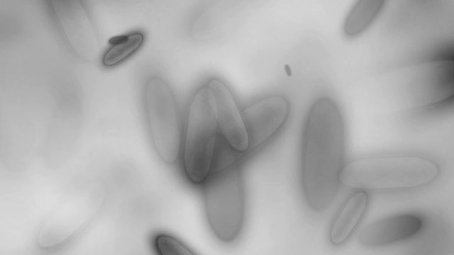 Bacteria motion background (seamless loop)