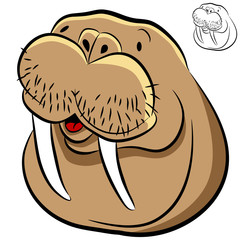 Walrus Face