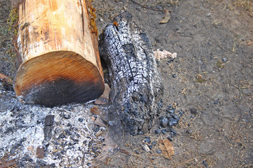 fire wood