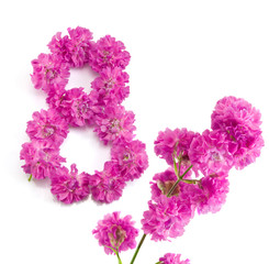 The number eight from flowers