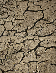 dry earth texture