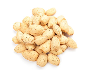 almond nut