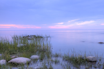 Ocean scene, reed in the foreground