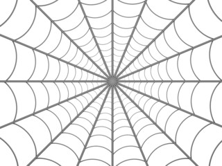 Spiders web