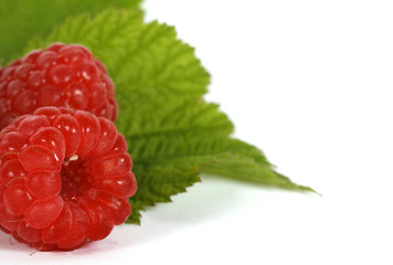 Red raspberries with green leaves on the withe background