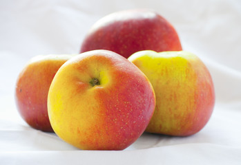 Naklejka na ściany i meble bunch of fresh healthy and delicious organic apples