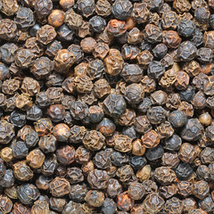 Black pepper extreme close up